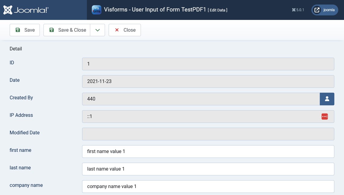 Step 3: The data editing view in the backend