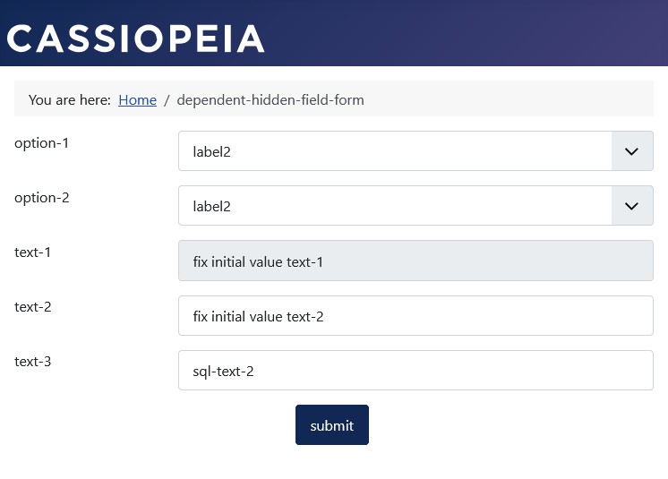 Here you can see the text not displayed in the form for illustrative purposes. The text not displayed in the form is shown here for illustrative purposes.