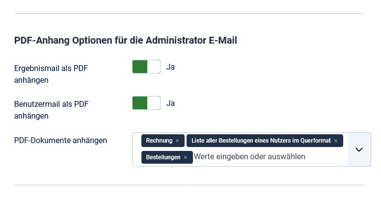 PDF Anhang Optionen