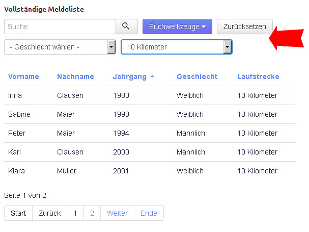 Suchtools: Die Visforms Suchfilter