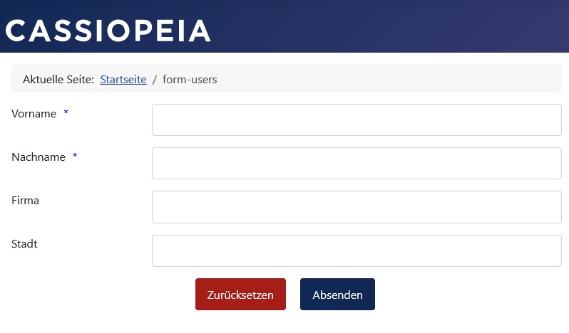 Beispiel-Formular in der Farbe Blau und keinem 'Pflichtfeld *' Text im Formular Beispiel-Formular in der Farbe Blau und keinem 'Pflichtfeld *' Text im Formular