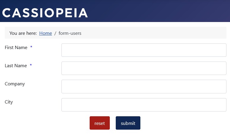 Example form in blue with no 'Required *' text in the form Example form in blue with no 'Required *' text in the form