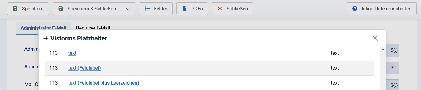 Zusätzliche Optionen für Feld-Platzhalter